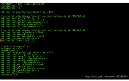 阿里云ECS主机自建SNAT，实现没有公网的主机通过有公网的主机访问外网